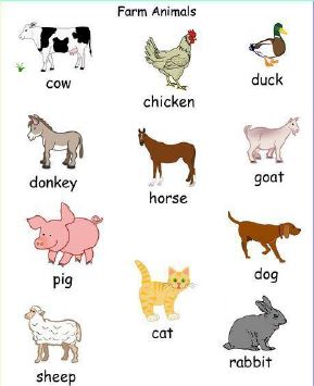 Domestic Animals - CBC Grade 5 Agriculture Revision Notes