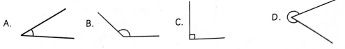 G5MathT1PMQ32