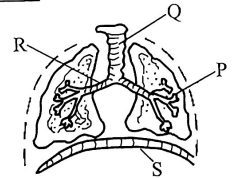 G5ISMT3S12023Q18