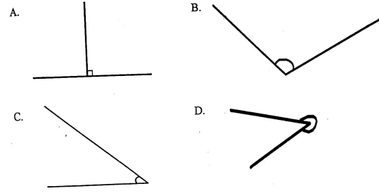 G5MathMT3S12023Q20