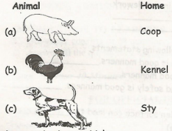 Grade 5 End Term 2 Set 2 sci Q4a