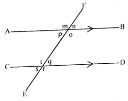 C8MathJesS2Pred2023Q23