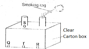 C8SciJesS2Pred2023Q22