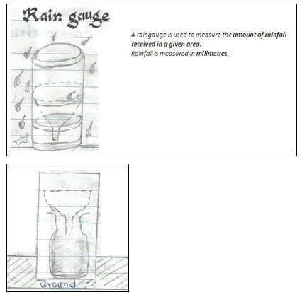 Social studies rain gauge