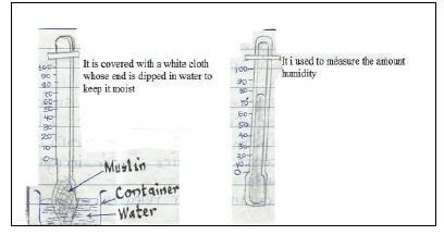 Social studies single tube mercury thermometer