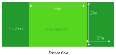 07 frisbee field