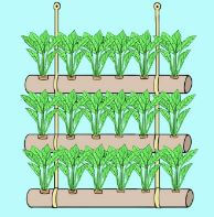 Vertical garden using pipes