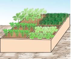 Horizontal garden in a raised wooden plattform