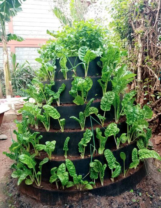 Close up of dam liners farming -Innovative gardening