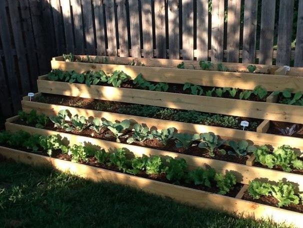 expandable step garden