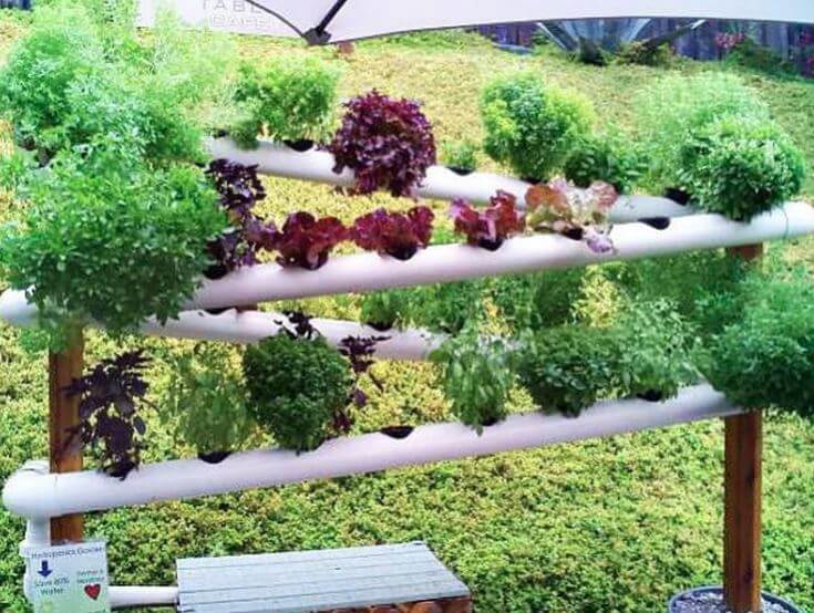 gutter gardens