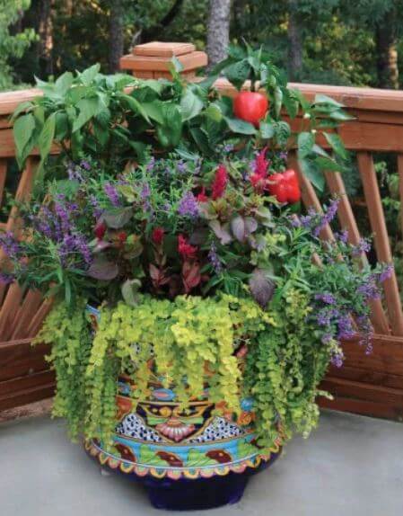 one pot garden