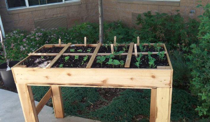 square foot garden 2