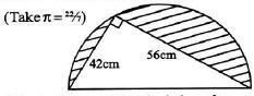 STD8EXPMTHSET6QN12