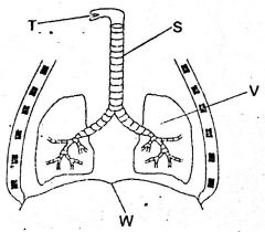 0204Sci10