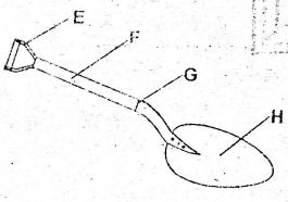 0204Sci50