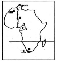 SSq19map