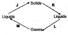 Sciq37