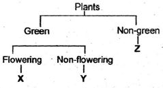 Sciq5