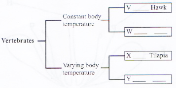 Sci q19