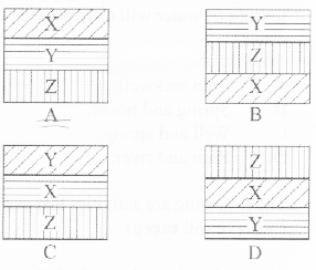 Sci q39