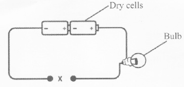 Sci q43