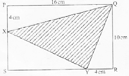 math q16