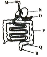 Class 6 ET1 sci Q12