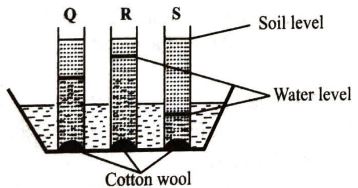 Class 6 ET1 sci Q4