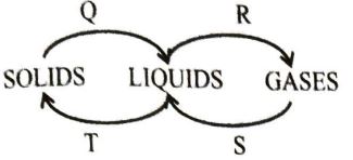 class 6 ET1 sci Q26