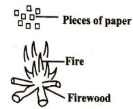 class 6 ET1 sci Q49