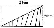 Maths6et1s2q24