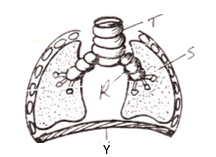 38 aduayd