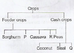crop classification