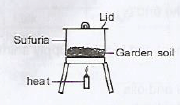 soil component