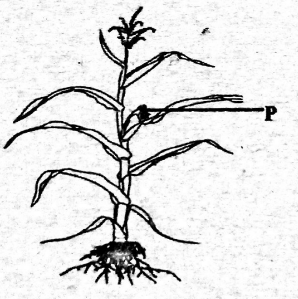 C7ET22022sciset2Q4