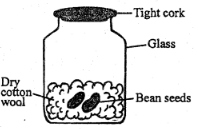 class 7 set 2 Et1 sci Q23