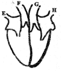 class 7 set 2 Et1 sci Q3