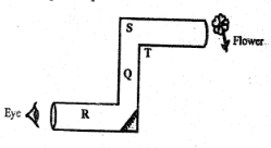 class 7 set 2 Et1 sci Q45