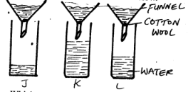 C7 ET2 sci Q37