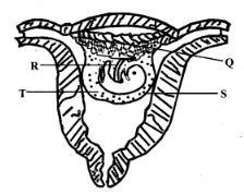 C8 ET2 SCI Q45