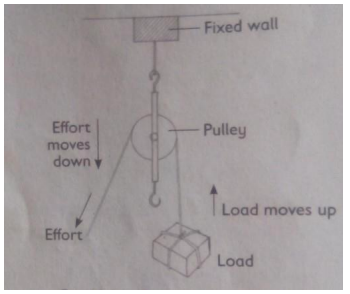 class 8 notes science a